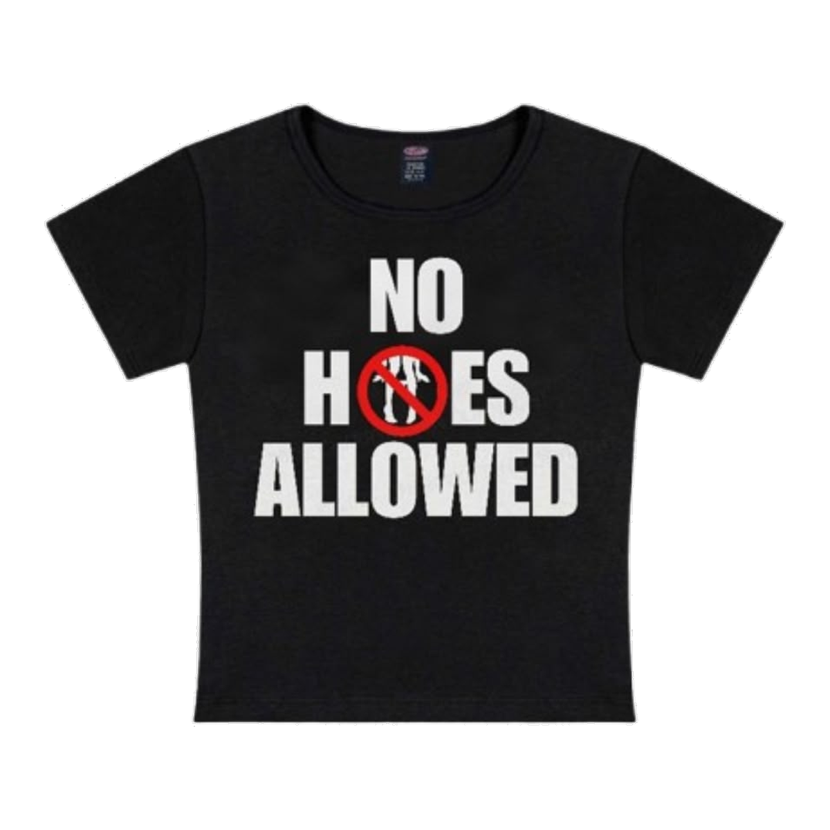 No Hoes Allowed Baby Tee
